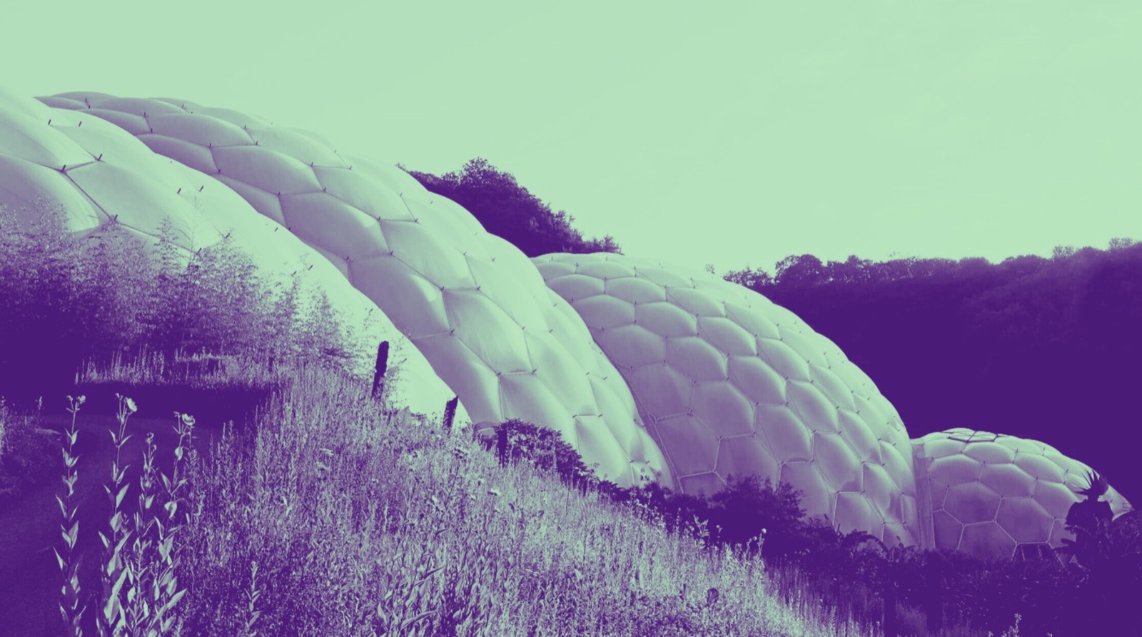 Grimshaw Architects' Eden Project biomes